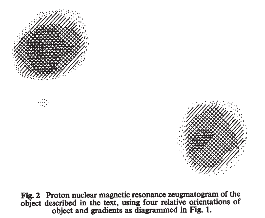 Lauterbur's first MRI image - Reconstructed Image