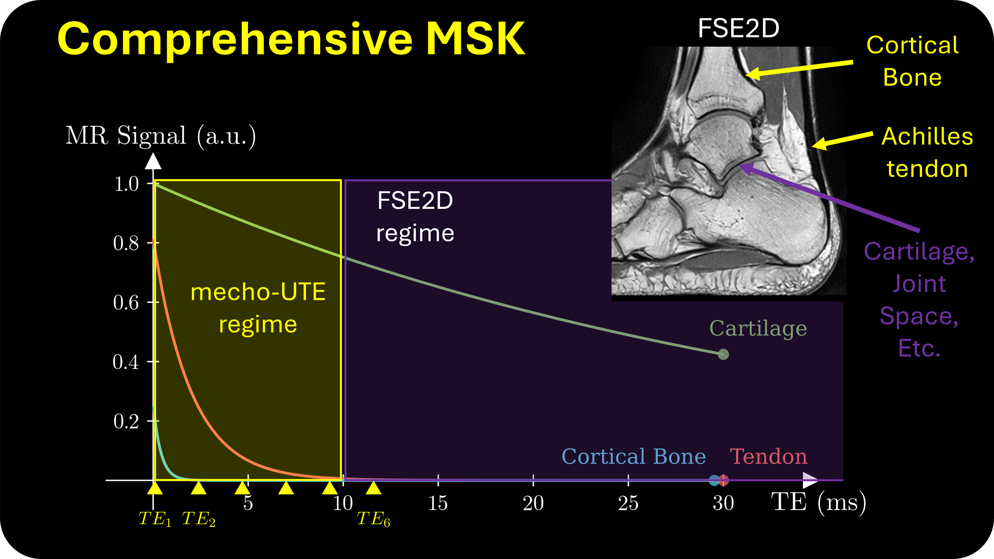 Comprehensive MRI-only MSK Exam